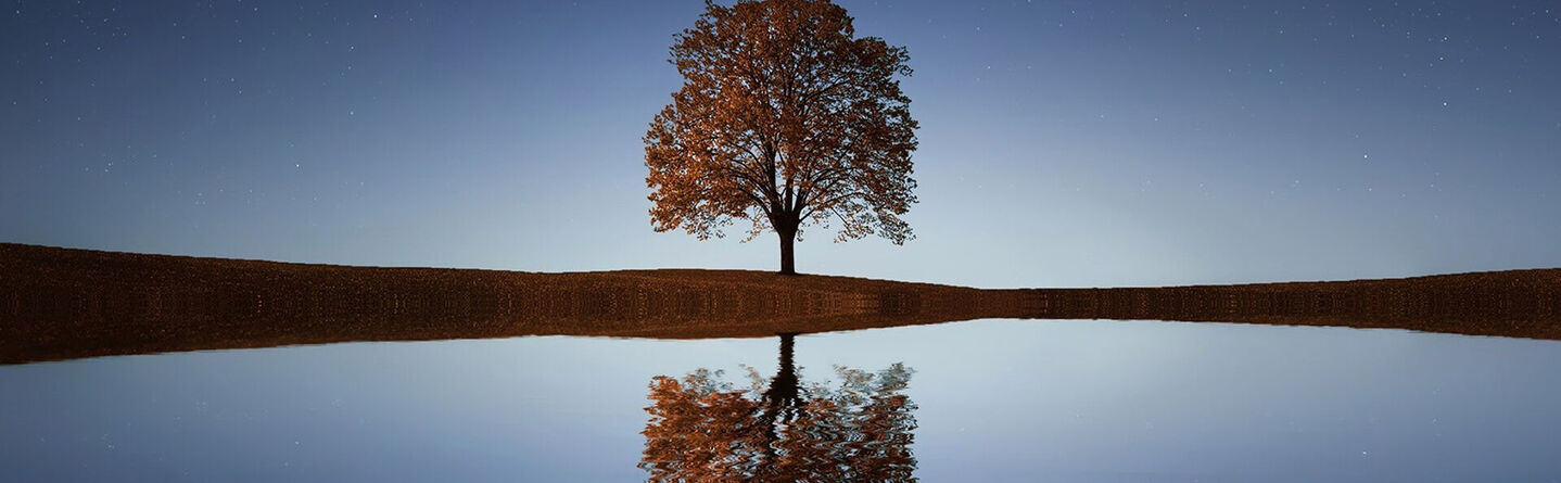 ส่วนบนสุดของเว็บไซต์